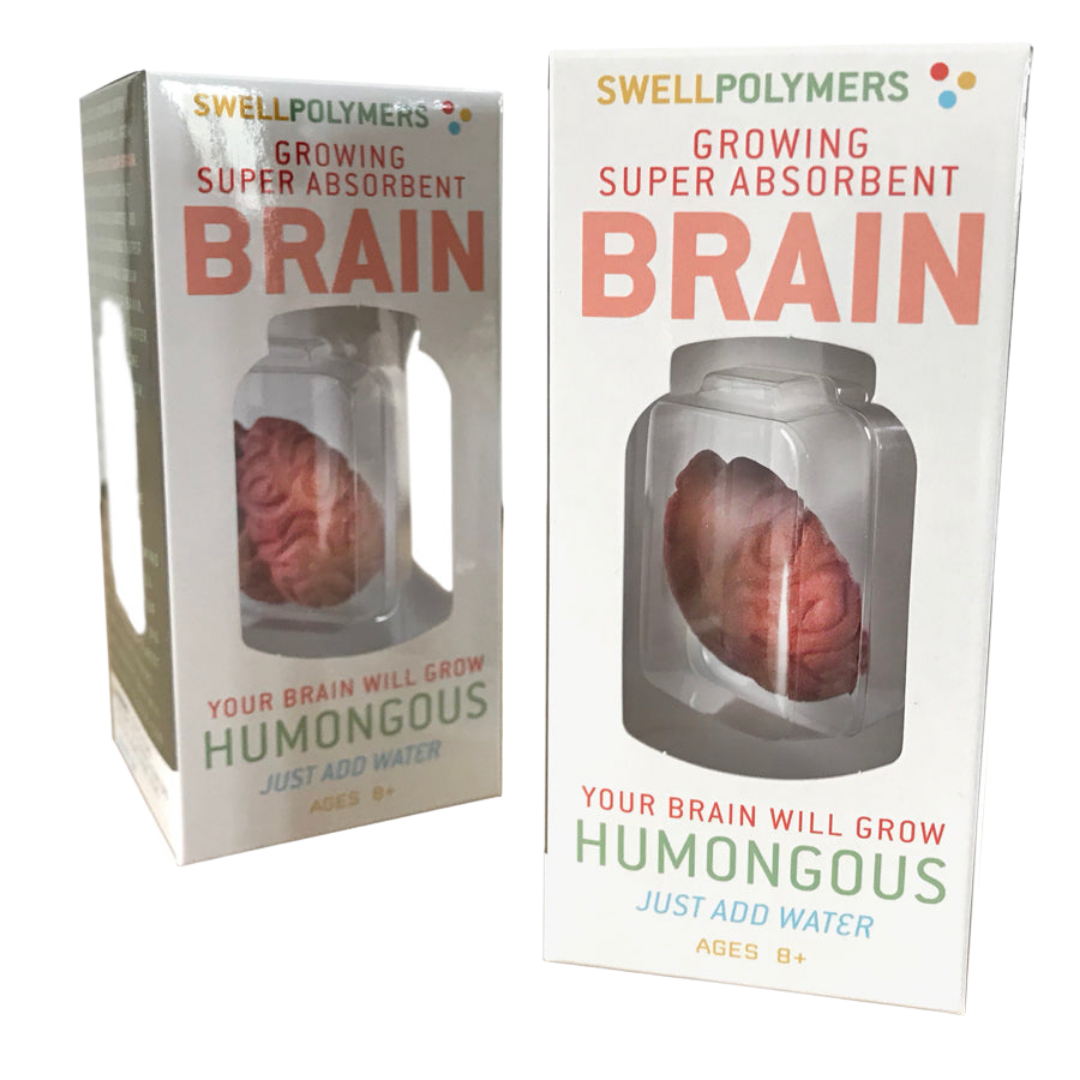 リール Toy.global Swell Polymer Brain – Brooklyn Superhero Supply Co.
