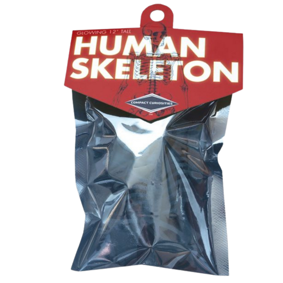 Compact Curiosities: Human Skeleton