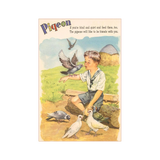 Pigeon & Boy Postcard
